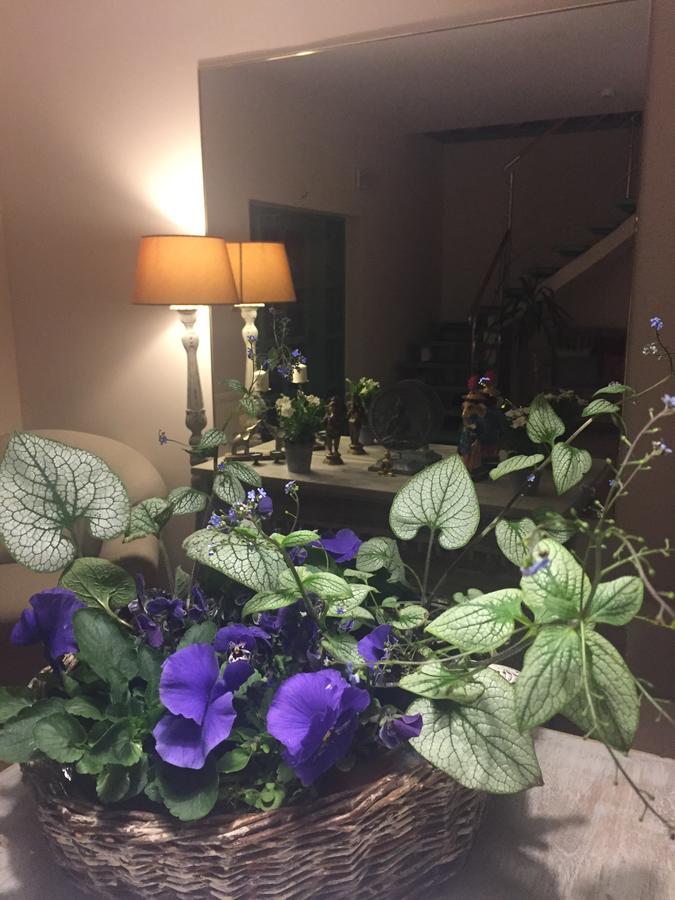 Panorama Bh Hotel Седлице Екстериор снимка