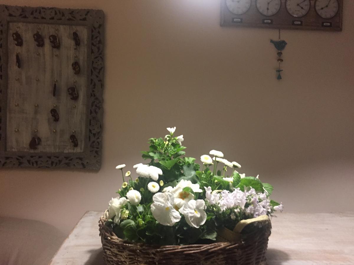 Panorama Bh Hotel Седлице Екстериор снимка